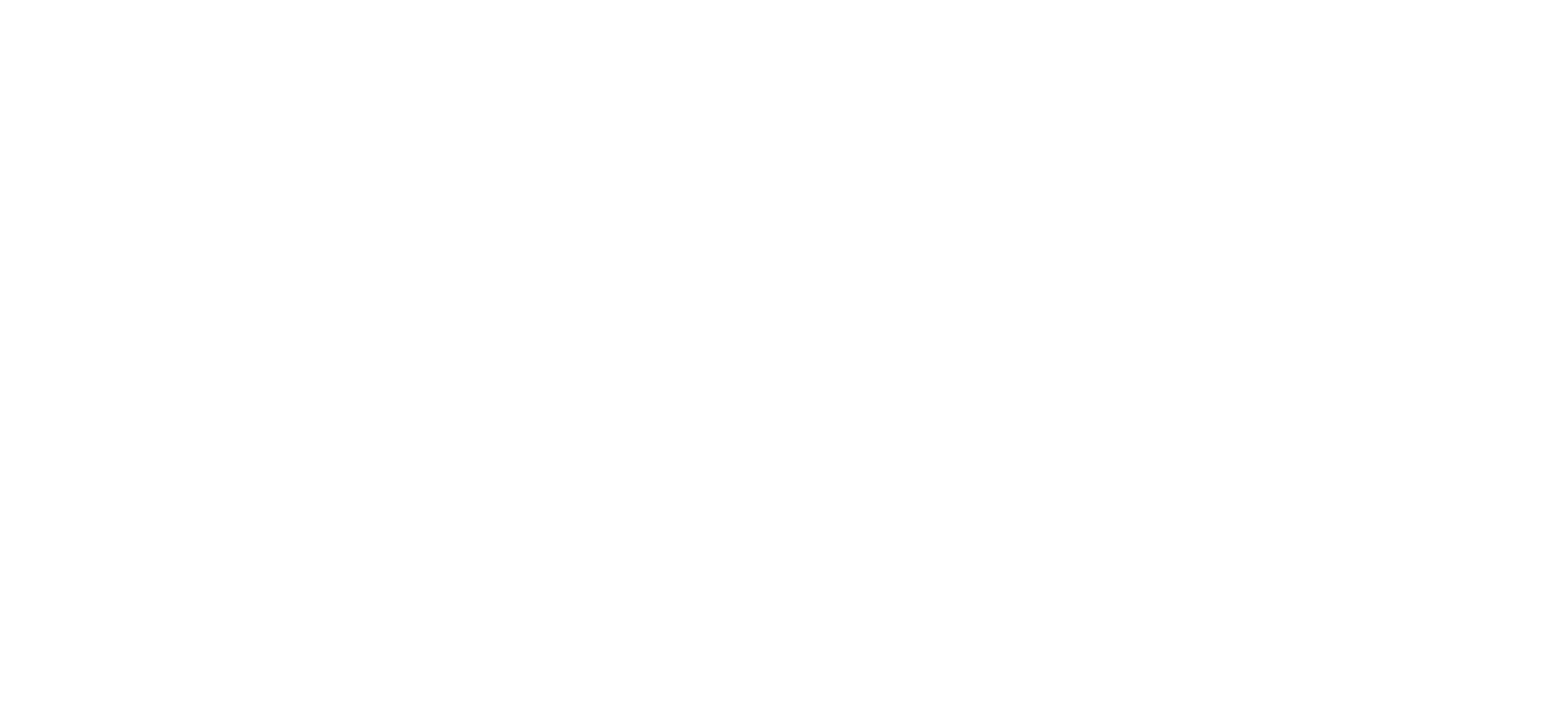 Momo Travels